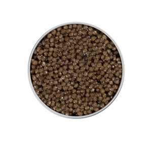 Caviar Beluga pas cher – Ventes privées