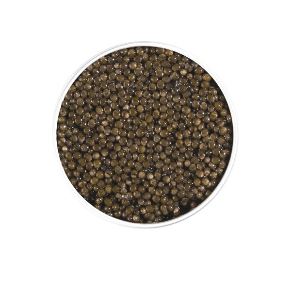 Caviar Osciètre pas cher - Ventes privées – Image 2